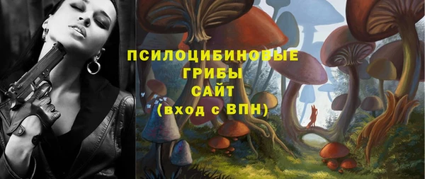 мяу мяу мука Беломорск