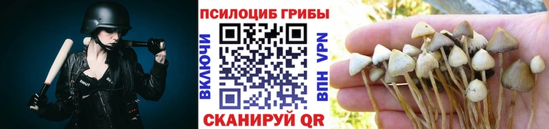 Галлюциногенные грибы Psilocybine cubensis  Бузулук 